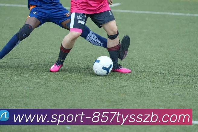 857体育赛事直播平台生态图